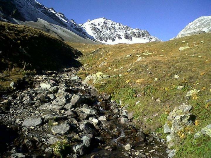شقة Sankt Moritz Chesa Ruinatsch 50 المظهر الخارجي الصورة